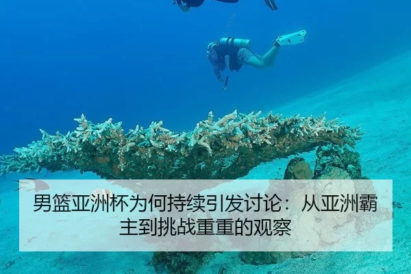 男篮亚洲杯为何持续引发讨论：从亚洲霸主到挑战重重的观察